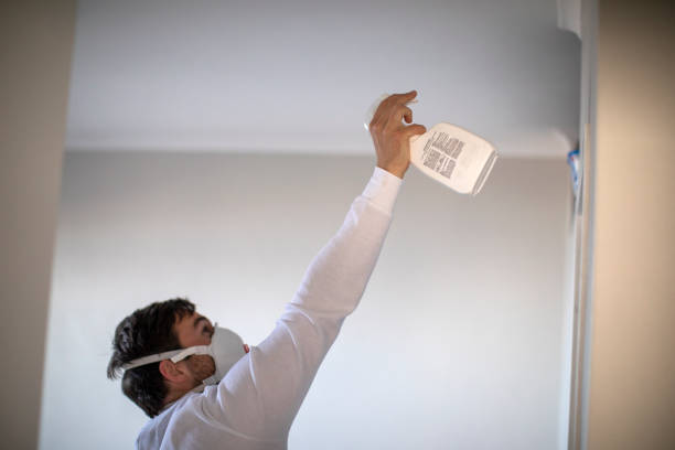 Reliable Gentry, AR Mold Removal Solutions