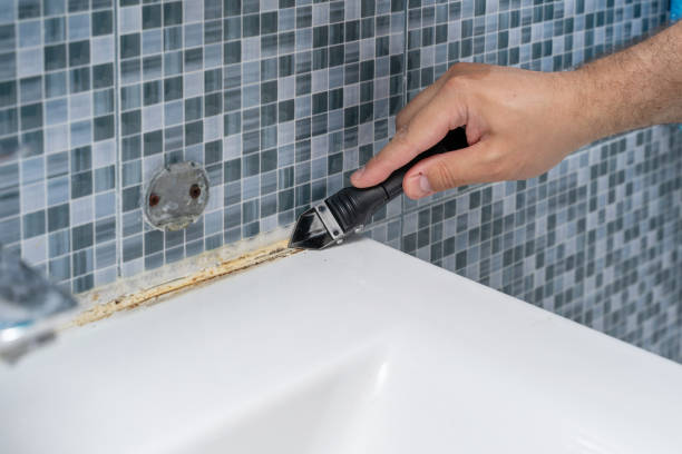 Best Certified Mold Removal  in Gentry, AR